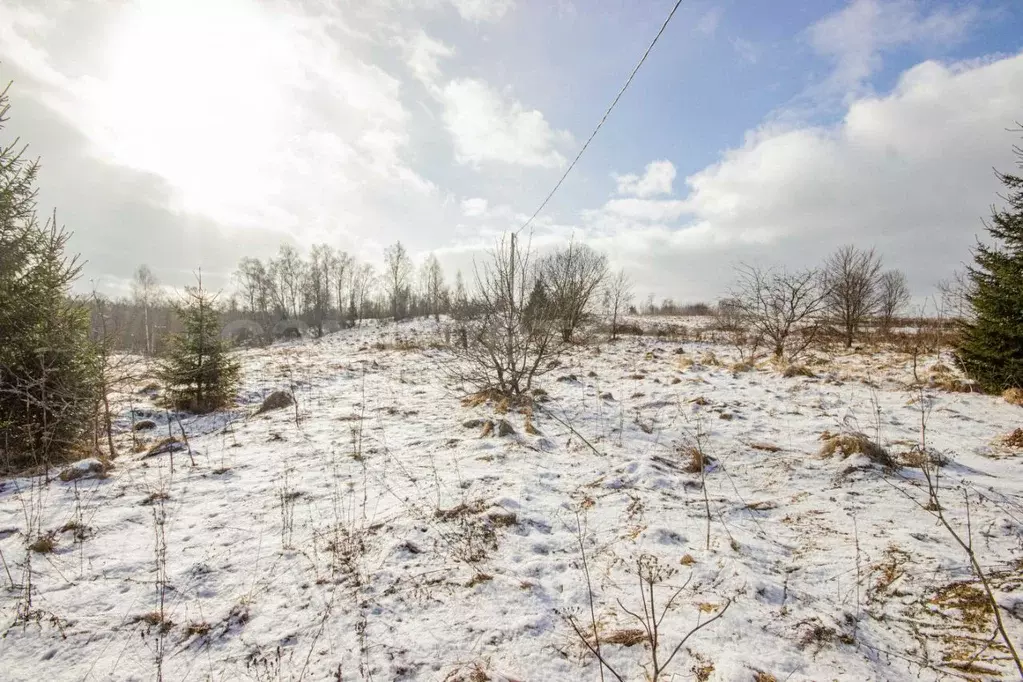 Участок в Московская область, Наро-Фоминский городской округ, д. ... - Фото 1