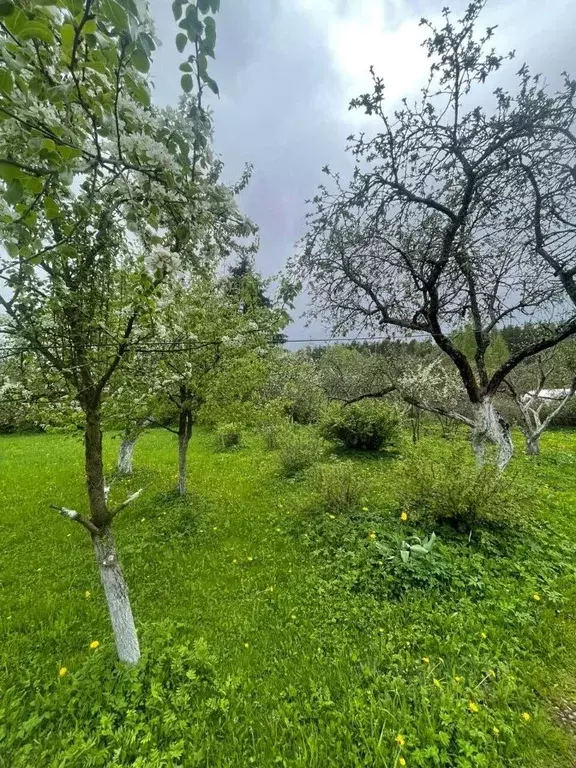 Дом в Ленинградская область, Тосненский район, Ульяновское городское ... - Фото 2