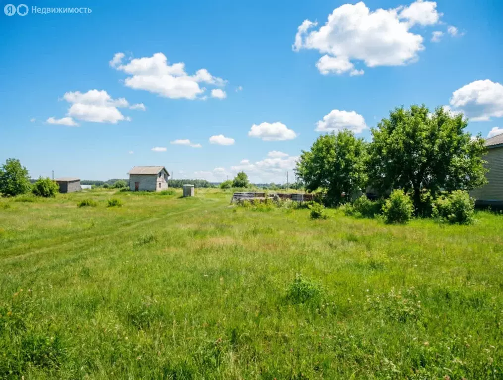 Участок в Ярославский муниципальный округ, деревня Кузнечиха ... - Фото 2