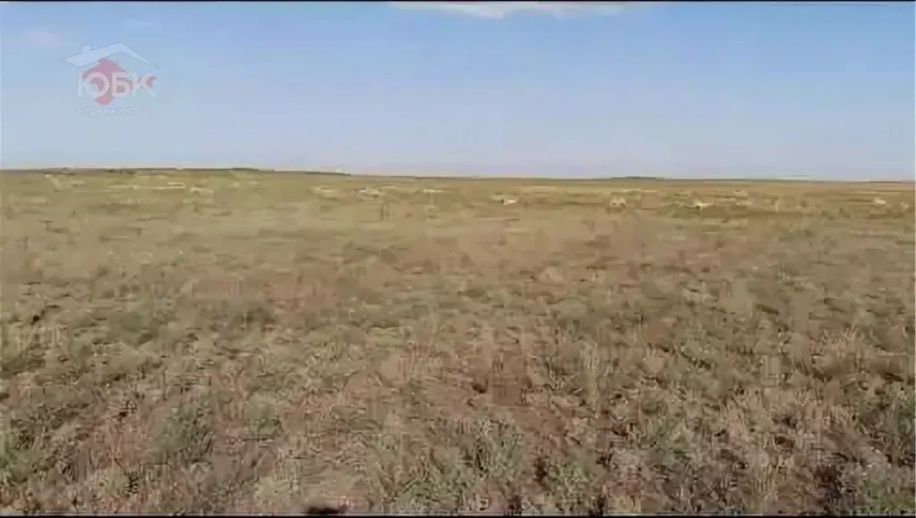 Участок в Крым, Евпатория городской округ, Новоозерное пгт пл. ... - Фото 2