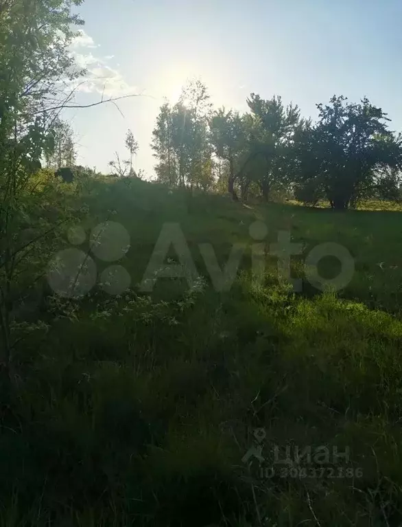 Участок в Брянская область, Брянский район, с. Глинищево  (20.0 сот.) - Фото 0