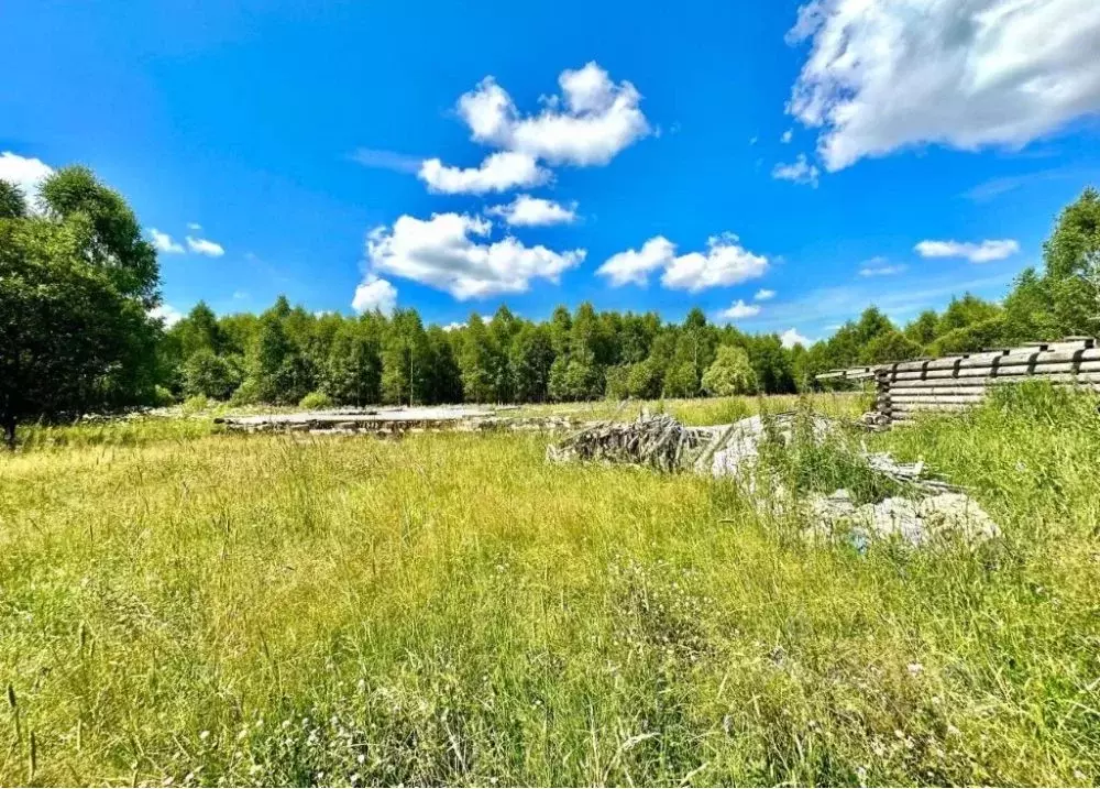 Участок в Тульская область, Тула городской округ, с. Борщевка  (100.0 ... - Фото 1