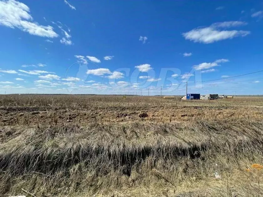 Участок в Тюменская область, Тюменский район, д. Елань  (8.0 сот.) - Фото 0