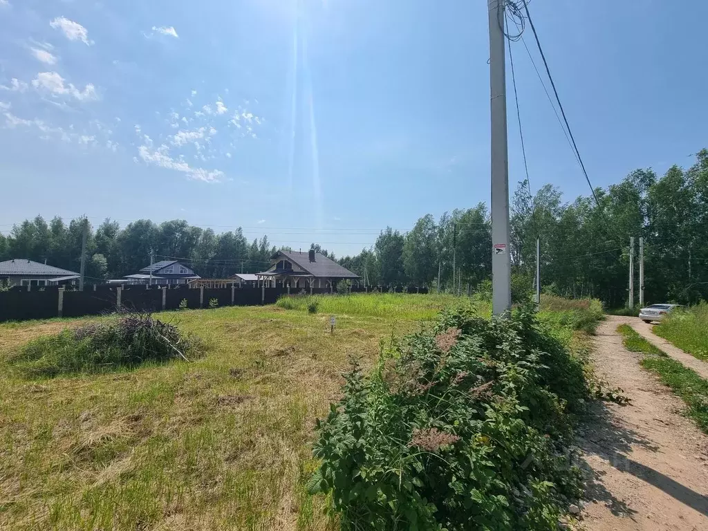 Участок в Нижегородская область, Нижний Новгород Первоцвет СНТ, 80 ... - Фото 1