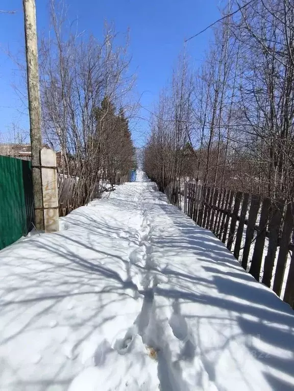 Участок в Пермский край, Пермский муниципальный округ, д. Горская, ... - Фото 1
