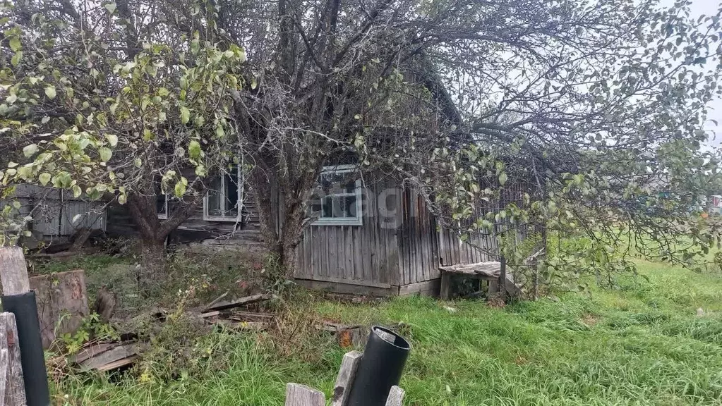 Дом в Приморский край, с. Яковлевка ул. Новая (39 м) - Фото 0