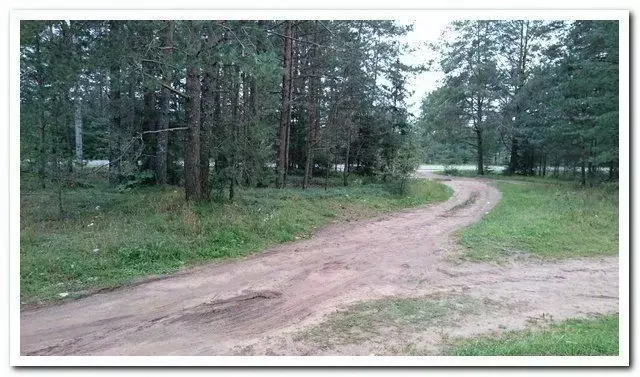 Участок в Псковская область, Струго-Красненский район, д. Щирск  (9.0 ... - Фото 2