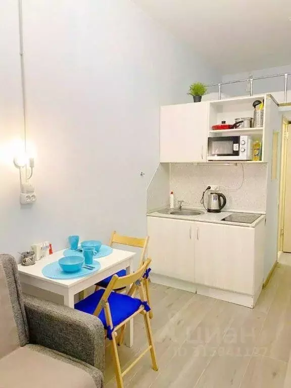 1-к кв. Санкт-Петербург ул. Чехова, 4 (24.0 м) - Фото 1