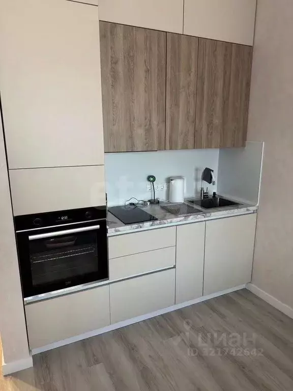 Студия Новосибирская область, Новосибирск Красный просп., 220 (31.0 м) - Фото 0