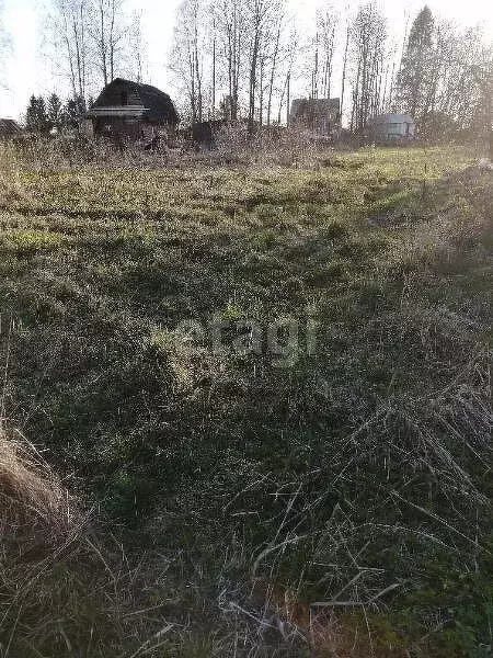 Дом в Вологодский муниципальный округ, садоводческое товарищество ... - Фото 1