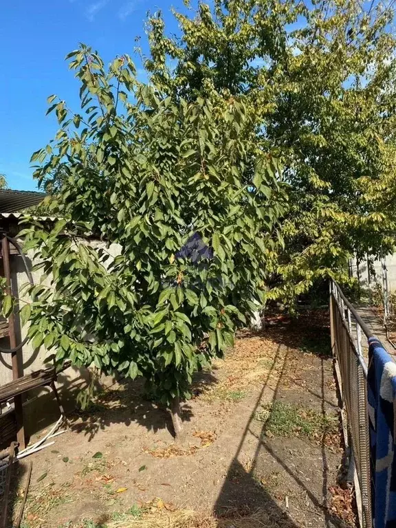 Участок в Ростовская область, Волгодонск проезд Монтажников (6.0 сот.) - Фото 1