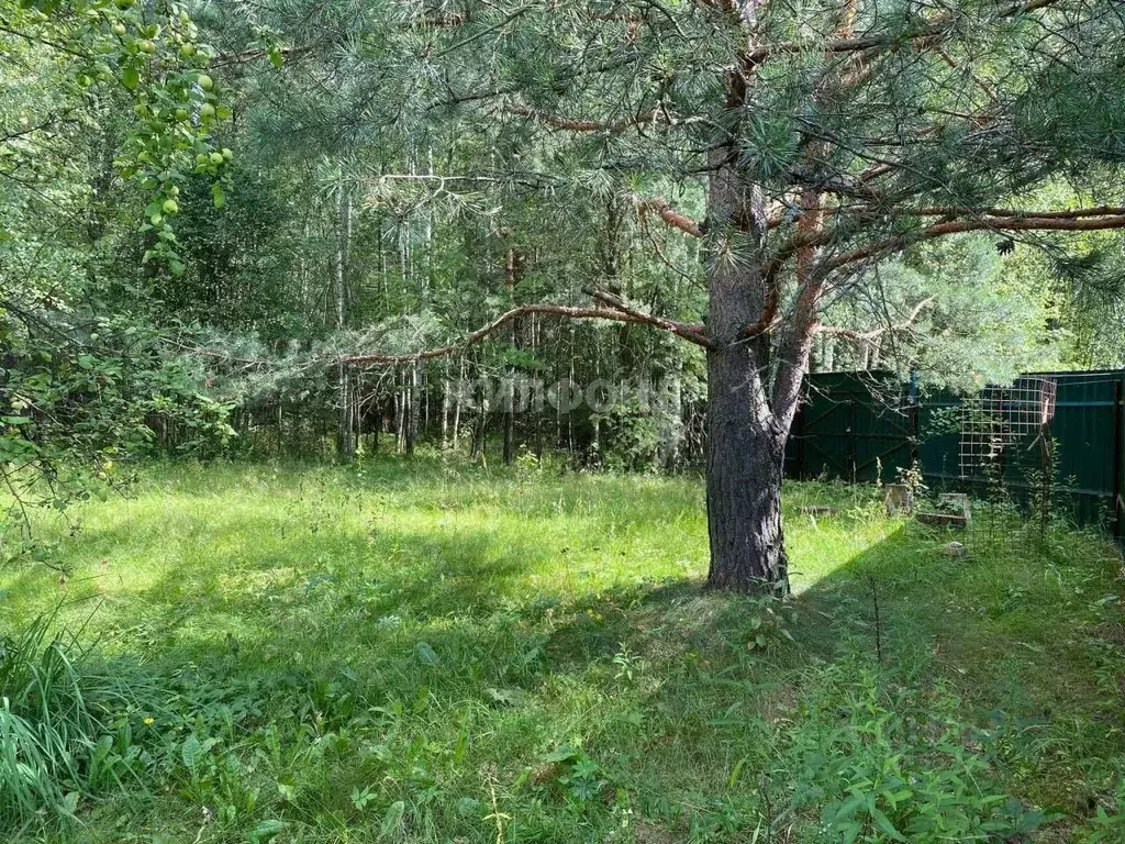 Участок в Московская область, Ликино-Дулево Орехово-Зуевский городской ... - Фото 0