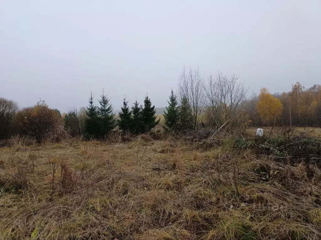 Участок в Московская область, Сергиево-Посадский городской округ, д. ... - Фото 1