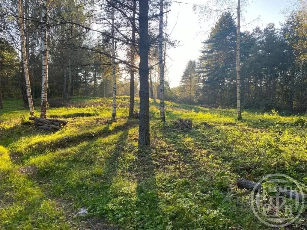 Участок в Ленинградская область, Лужский район, Серебрянское с/пос, д. ... - Фото 2