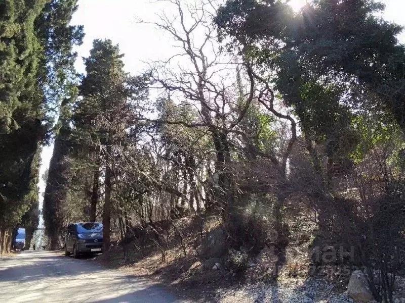 Участок в Крым, Ялта муниципальный округ, Кореиз пгт спуск ... - Фото 2