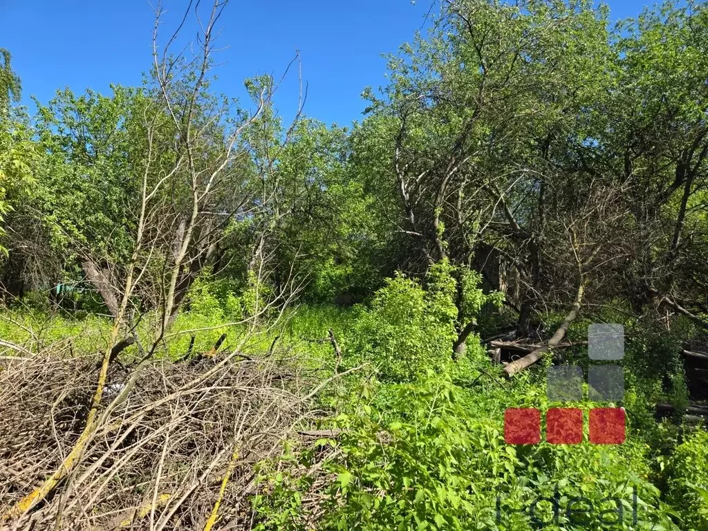 Участок в Московская область, Раменский городской округ, д. Юрово ул. ... - Фото 1