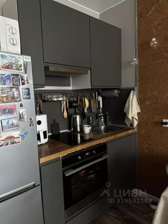 Студия Санкт-Петербург ул. Оптиков, 37 (24.0 м) - Фото 1