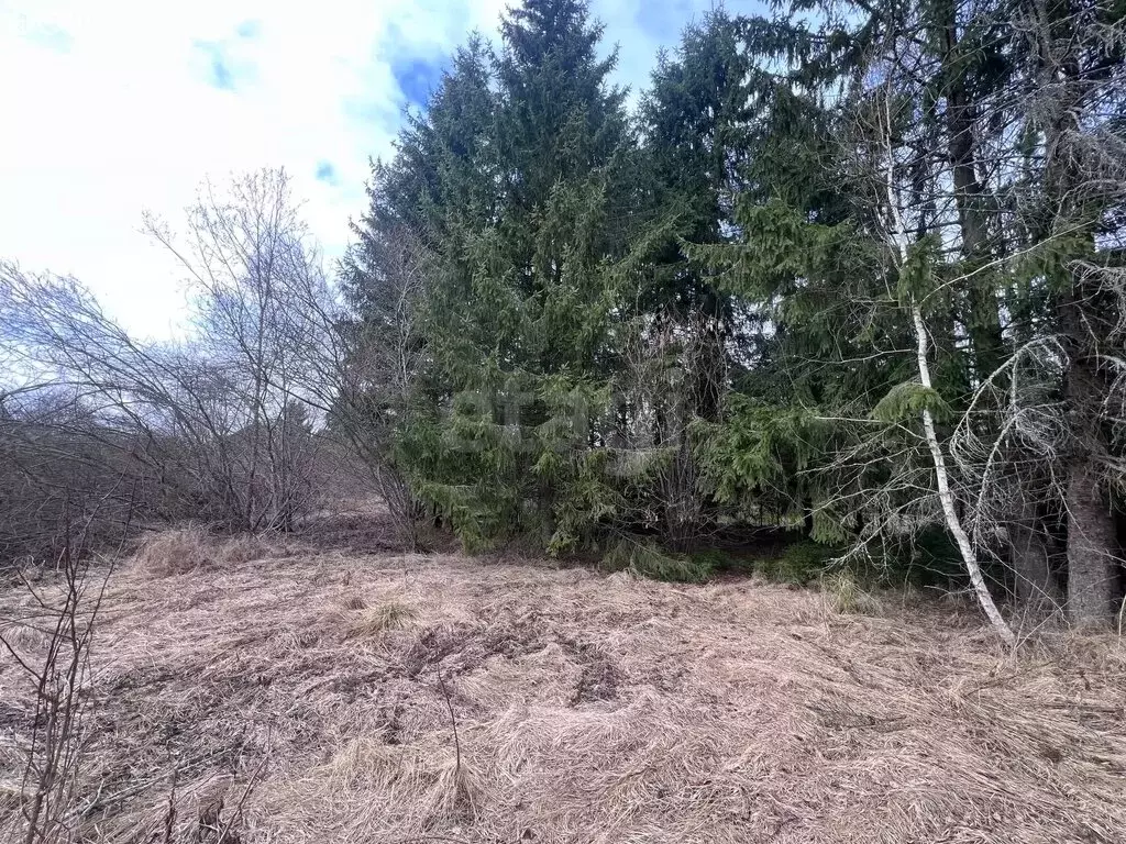 Участок в Кисельнинское сельское поселение, садоводческий массив ... - Фото 1