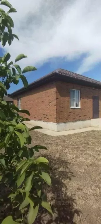 Дом в Ростовская область, Ростов-на-Дону Защитник садовое ... - Фото 1