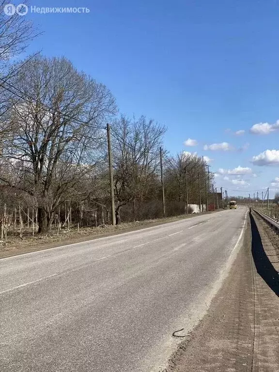 Участок в Волосово, улица Хрустицкого (16.9 м) - Фото 0