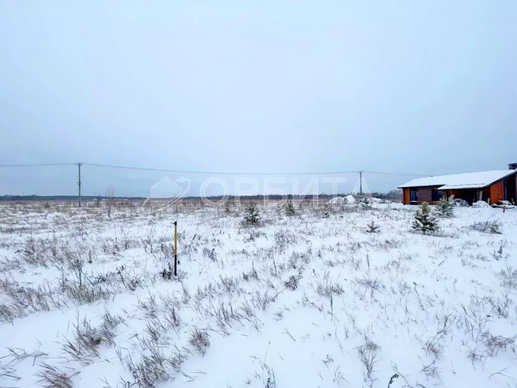 Участок в Тюменская область, Тюменский муниципальный округ, с. ... - Фото 2