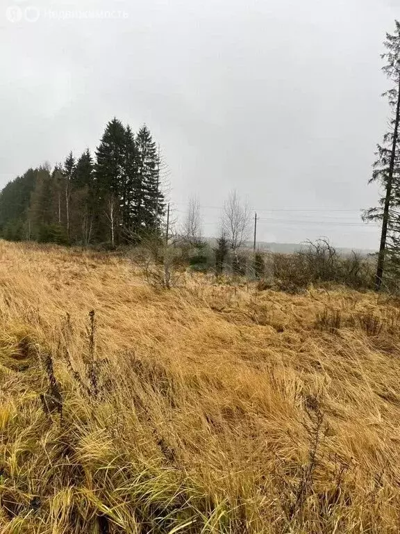 Участок в Калужская область, Боровский муниципальный округ, деревня ... - Фото 2