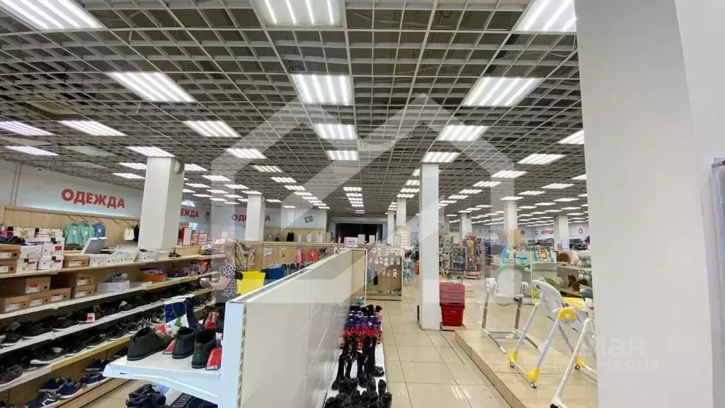 Торговая площадь в Московская область, Одинцово ул. Маковского, 2А ... - Фото 1