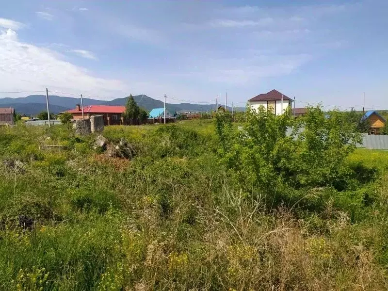 Участок в Алтайский край, Белокуриха ул. Питерская (10.0 сот.) - Фото 1