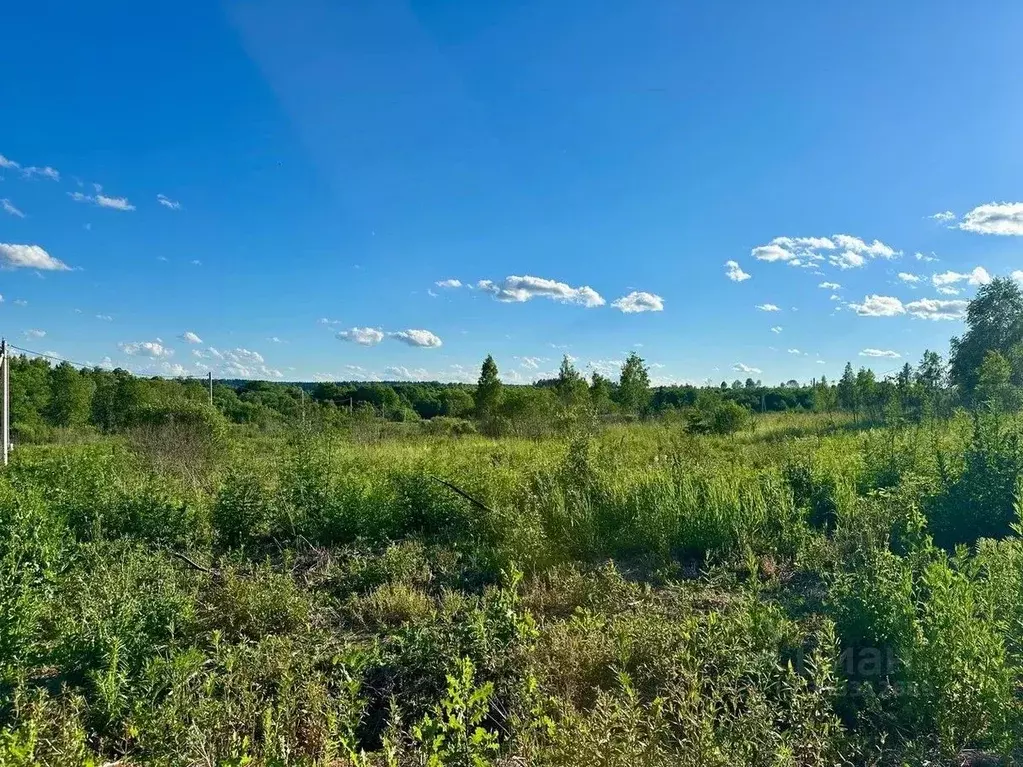 Участок в Московская область, Клин городской округ, Истра-вилль кп  ... - Фото 1