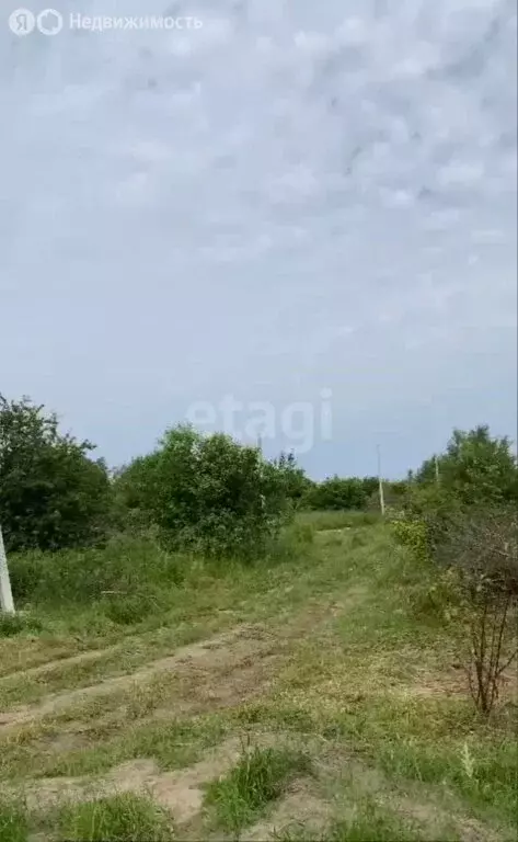 Участок в Калининградская область, Ладушкин (8 м) - Фото 1