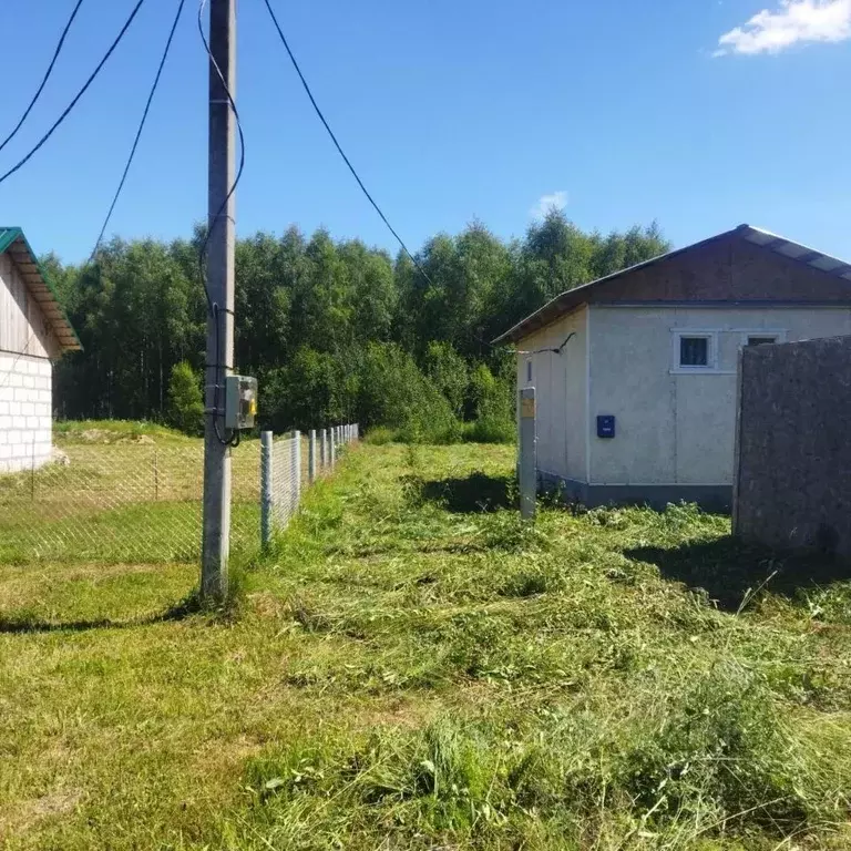 Дом в Тверская область, Рамешковский муниципальный округ, с. Кушалино  ... - Фото 2
