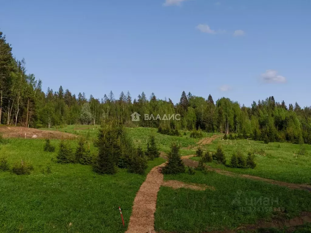Участок в Ленинградская область, Выборгский район, Первомайское с/пос, ... - Фото 0