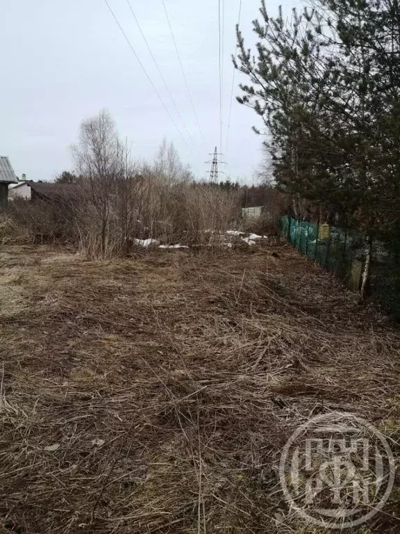 Участок в Ленинградская область, Всеволожский район, Куйвозовское ... - Фото 1