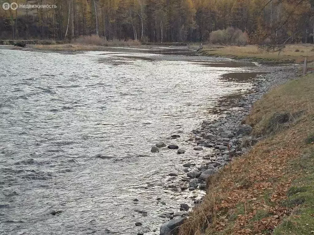 Участок в село Онгудай, улица Энергетиков (15.02 м) - Фото 0