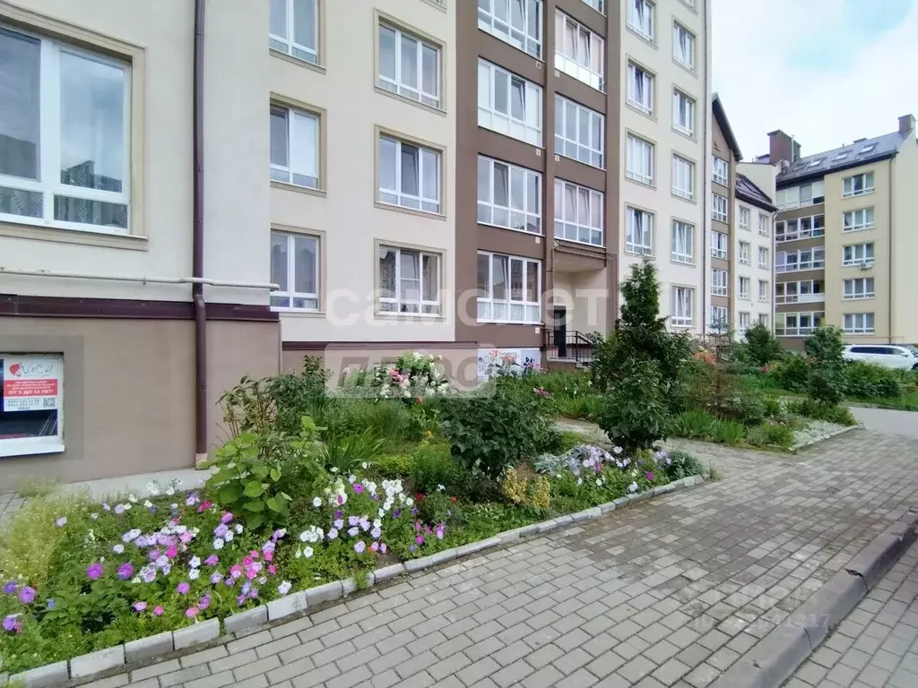 1-к кв. Калининградская область, Гурьевский муниципальный округ, пос. ... - Фото 1