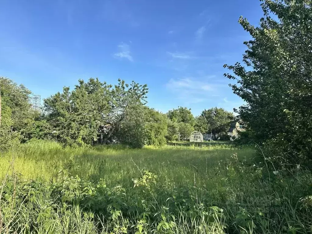 Участок в Белгородская область, Белгородский район, Разумное рп, ... - Фото 0