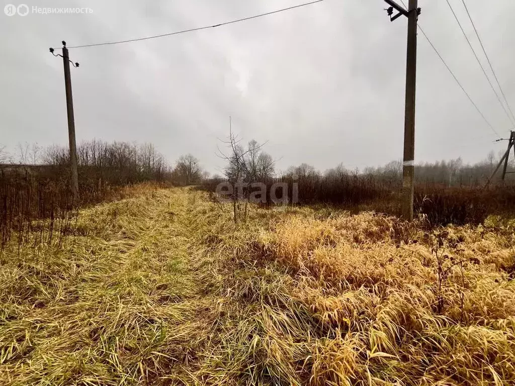 Участок в Калининградская область, Багратионовский муниципальный ... - Фото 1