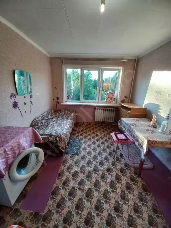 1-к кв. Красноярский край, Красноярск ул. Академгородок, 6 (17.2 м) - Фото 0