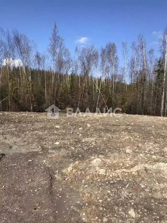Участок в Ленинградская область, Всеволожский район, Бугровское ... - Фото 0