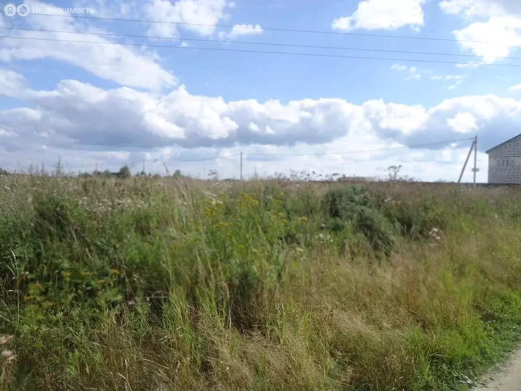 Участок в Тельмановское городское поселение, садоводческое ... - Фото 1