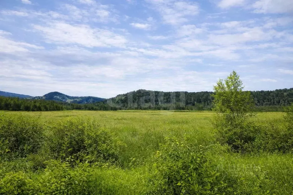 Участок в Алтай, Майминский район, с. Кызыл-Озек ул. Цветочная, 9 ... - Фото 1