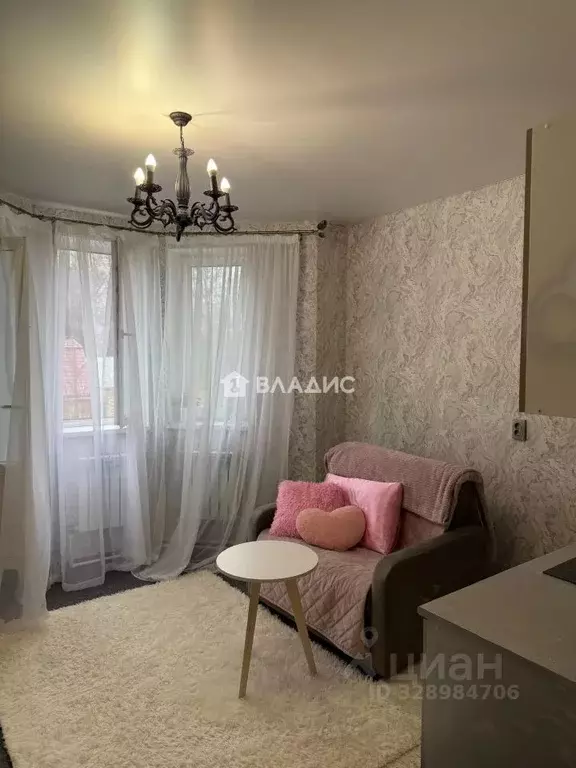 Студия Московская область, Богородский городской округ, д. Новая ... - Фото 1