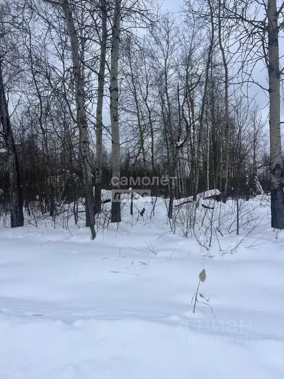 Участок в Московская область, Куровское Орехово-Зуевский городской ... - Фото 2