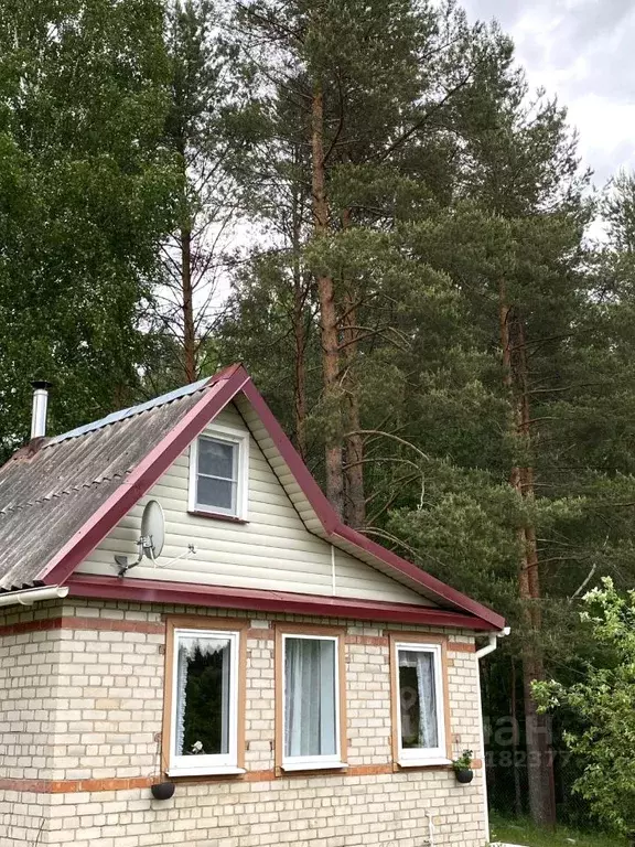 Дом в Новгородская область, Валдайский муниципальный район, Яжелбицкое ... - Фото 2