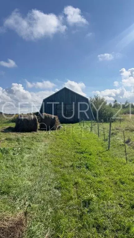 Участок в Калининградская область, Зеленоградский муниципальный округ, ... - Фото 2