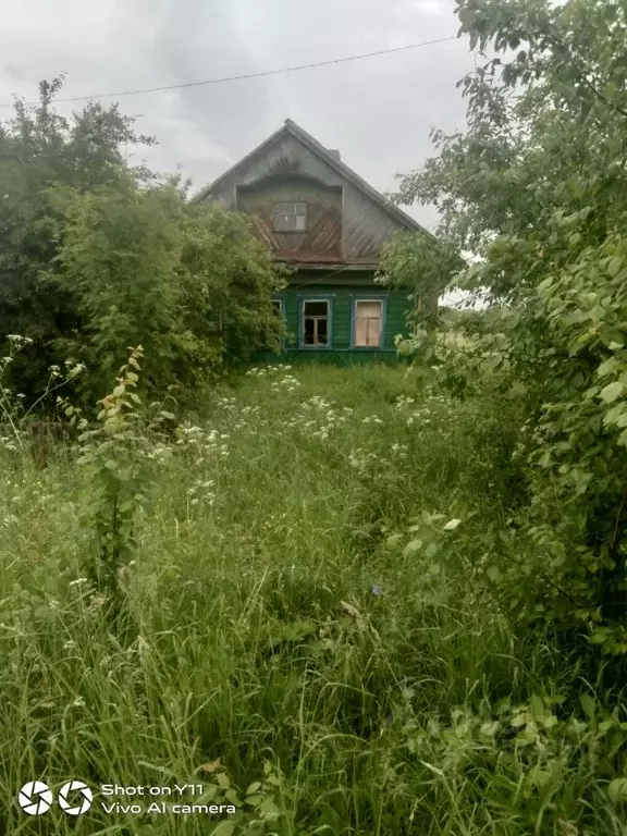 Дом в Ивановская область, Лухский район, с. Тимирязево  (40 м) - Фото 0