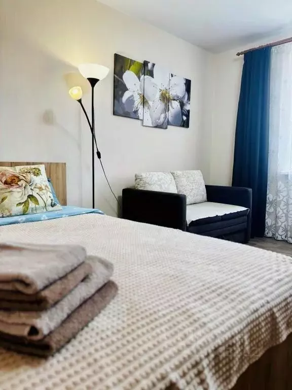 1-к кв. Марий Эл, Медведево городское поселение, Медведево пгт ул. ... - Фото 1