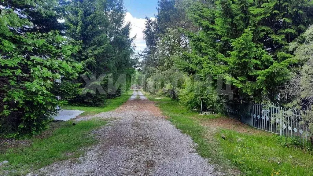 Участок в Новосибирская область, Искитимский район, Морозовский ... - Фото 1