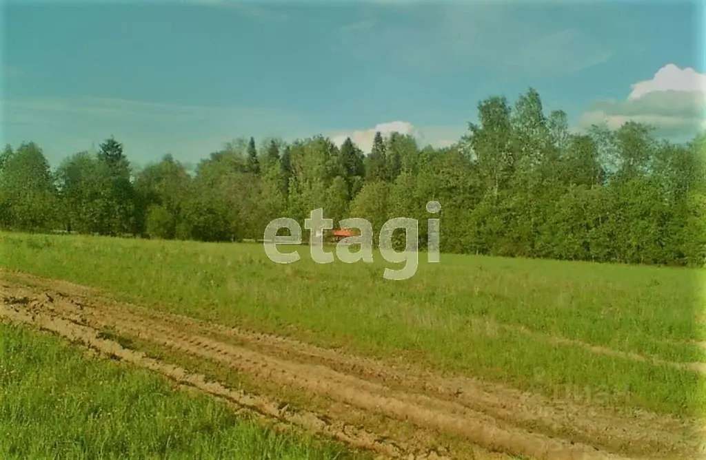 Участок в Вологодская область, Грязовецкий муниципальный округ, ... - Фото 1