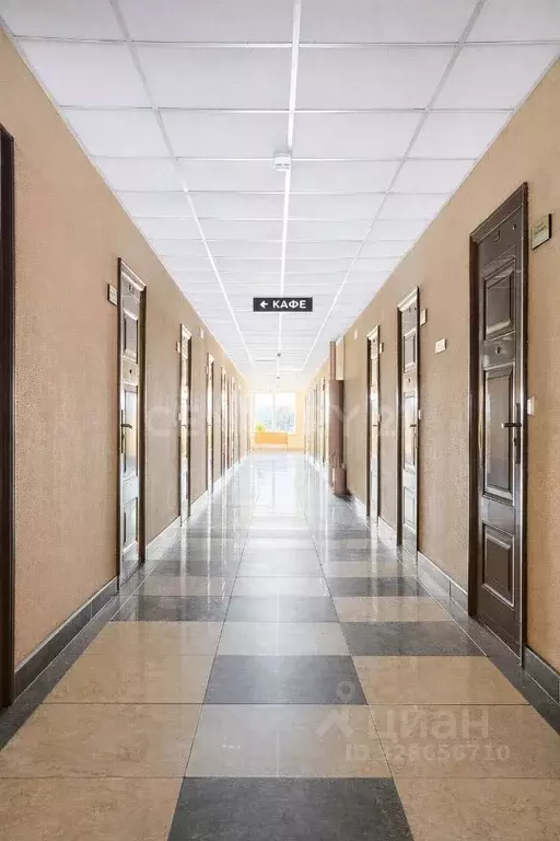 Офис в Санкт-Петербург Петергофское ш., 73У (25 м) - Фото 1